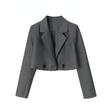 JK Small Suit Jacket Lady Small Small Short College Wind Students Spring And Autumn New Small Suit Top Women's Clothing