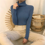 High-Necked Sweater Women 2025 Autumn And Winter Yangqi Inside A Knitted Bottom Shirt Long-Sleeved Cover Solid Color Top Women's Clothing